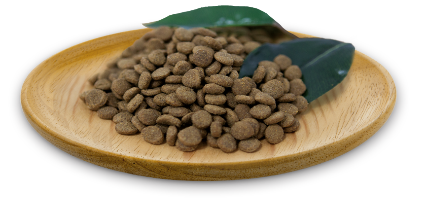 Receta Sensitive Indoor  2 kg - Img 4