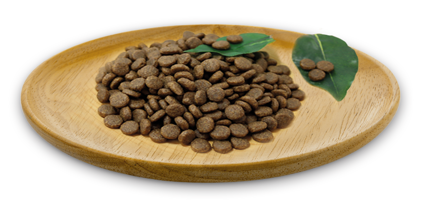 Receta Wild Instinct Medium & Large Breed 6 kg - Img 4