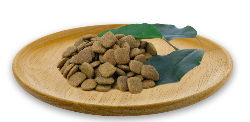 Wild Iberian Diet 2 kg - Img 3