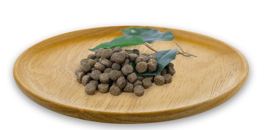 Receta Optimum  - Mini & Medium 10 kg - Img 3
