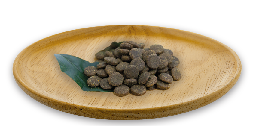 Receta 4 Tastes Diet 10 kg - Img 3