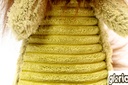 GL00360_2.jpg
