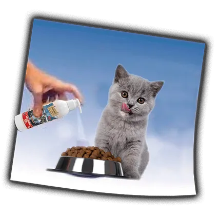 gato_aceite.webp