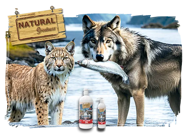 lobo+lince.webp