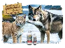lobo+lince.webp