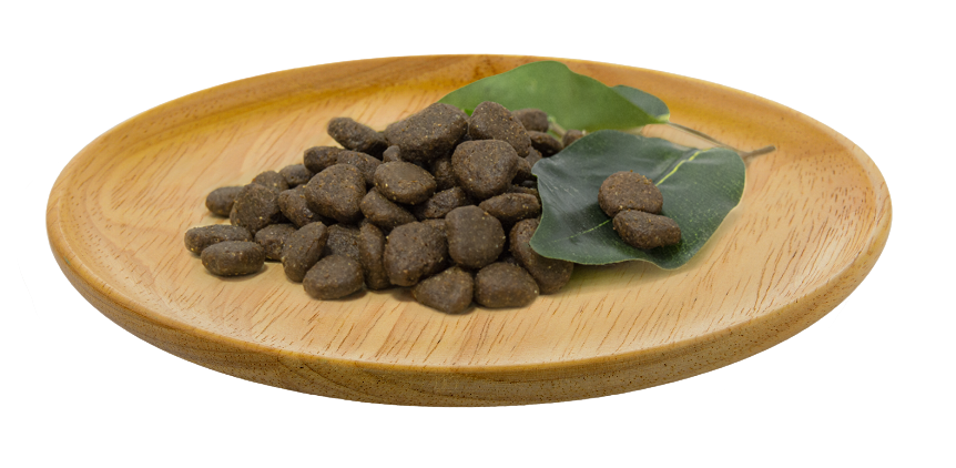 Croqueta