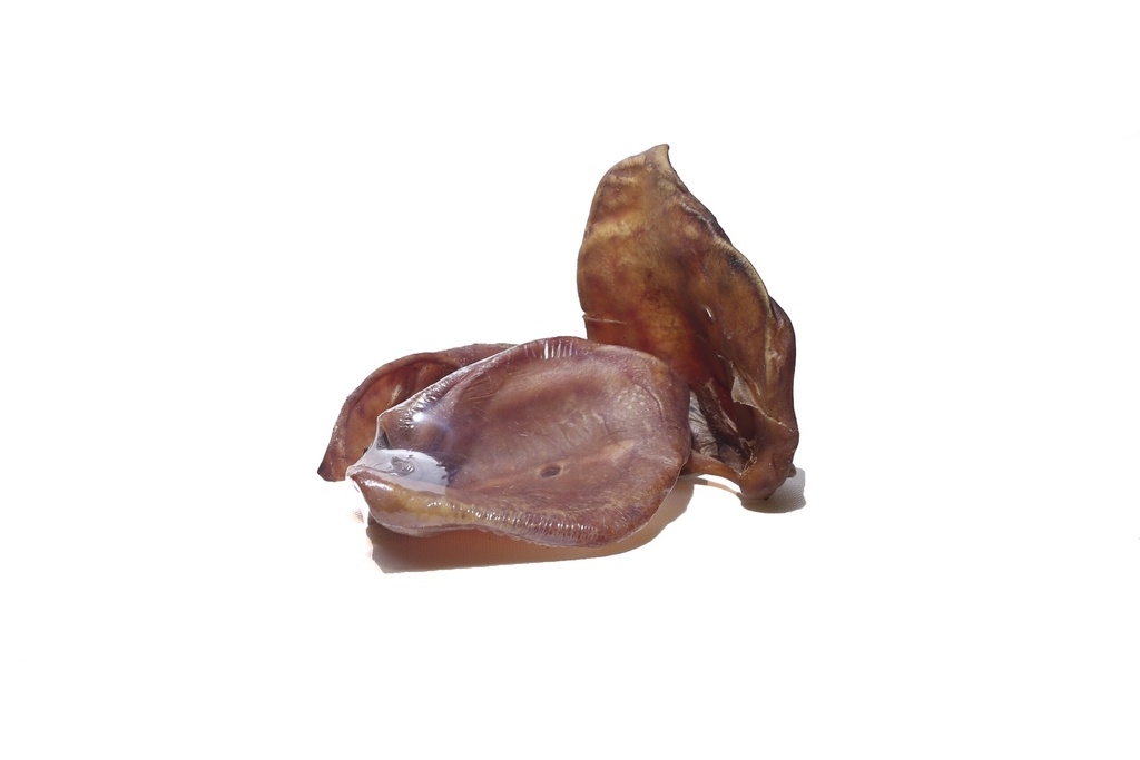 [MF-520] Oreja de Cerdo Pequeña Retractilada - My Friends