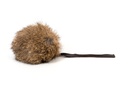 ROGERS RATA CON RABITO DE CUERO 12CM DIM.