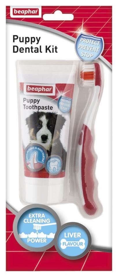 [12476] PACK DENTAL CACHORROS: PASTA DENTAL + CEPILLO DENT